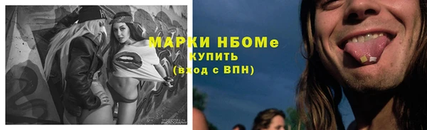дмт Арсеньев