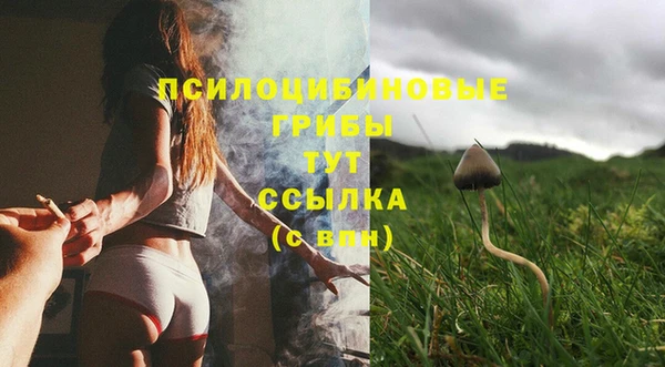 дмт Арсеньев