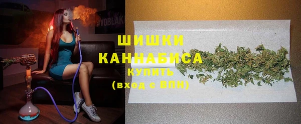 дмт Арсеньев