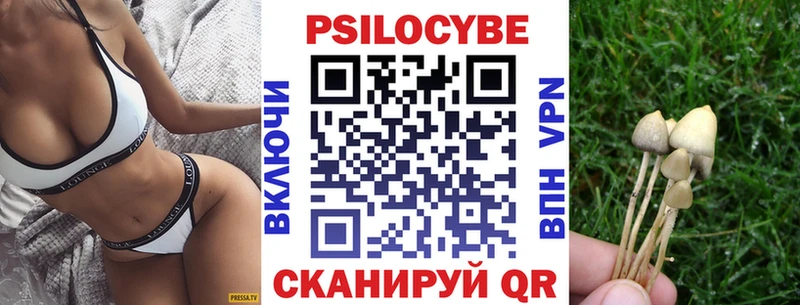 Галлюциногенные грибы Cubensis  Нолинск 